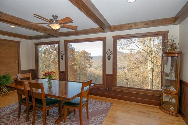 dining space featuring ceiling fan, beam ceiling, and light hardwood / wood-style floors