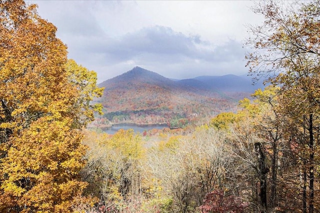 mountain view featuring a water view