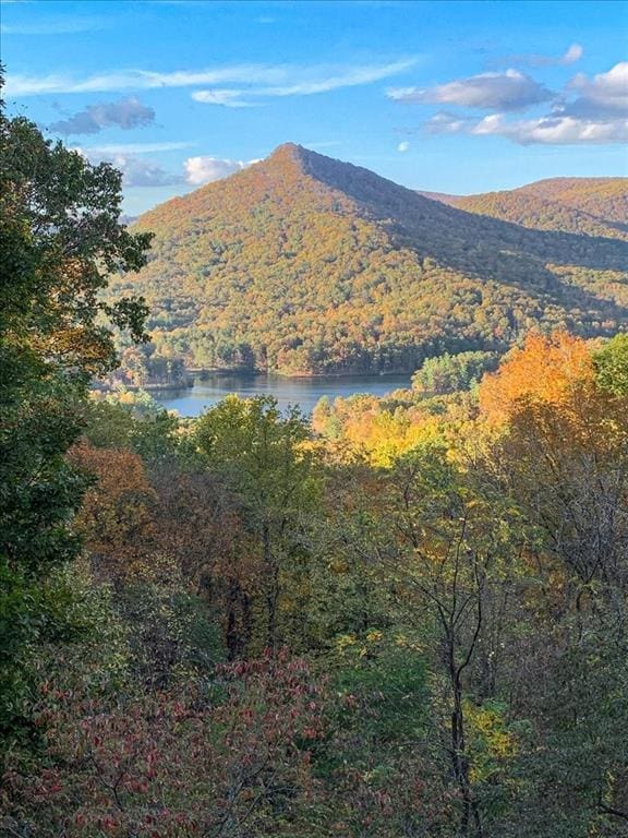 view of mountain feature with a water view