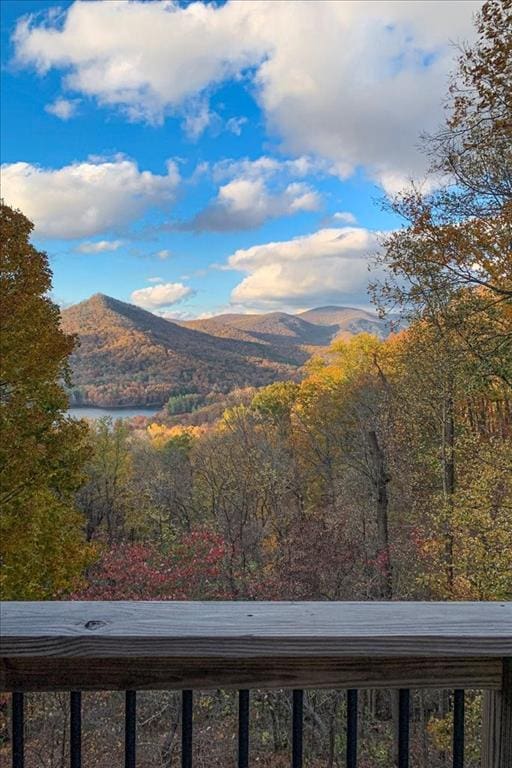 view of mountain feature