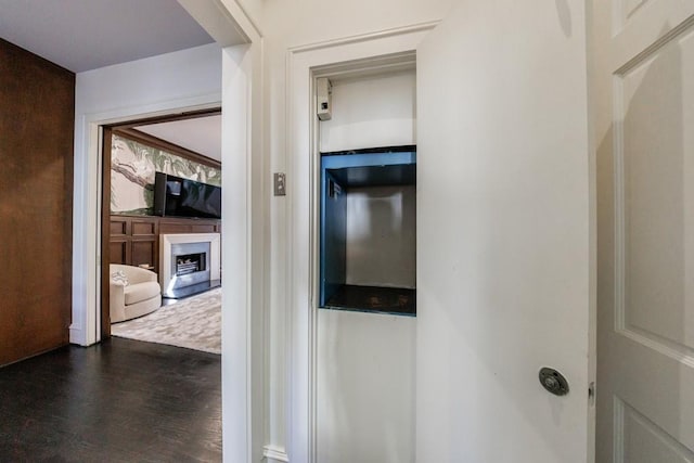 hall featuring dark wood-style floors