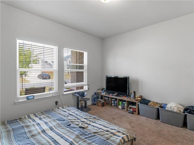 view of carpeted bedroom