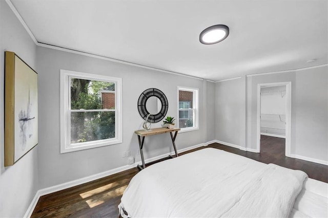 bedroom featuring a spacious closet, a closet, crown molding, and dark hardwood / wood-style floors