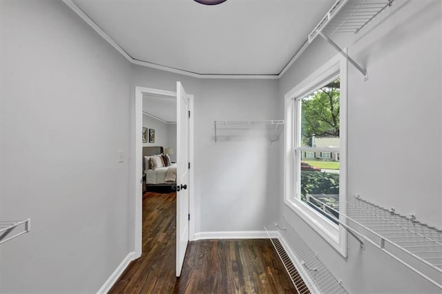 walk in closet with dark wood-type flooring