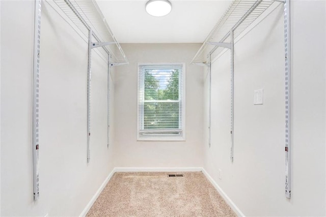 spacious closet with carpet flooring and visible vents