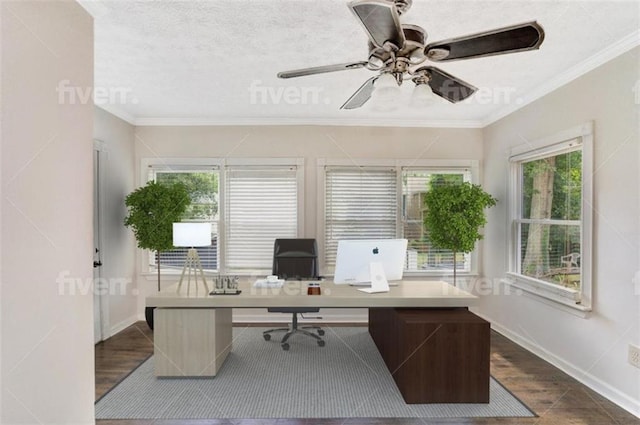 office area featuring dark wood-style flooring, a ceiling fan, baseboards, and ornamental molding