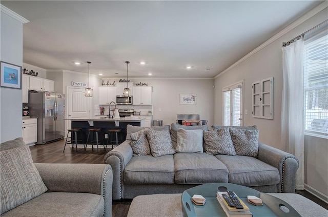 living area featuring ornamental molding, dark wood-type flooring, and recessed lighting