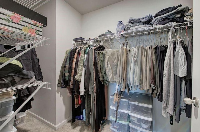 walk in closet with carpet floors