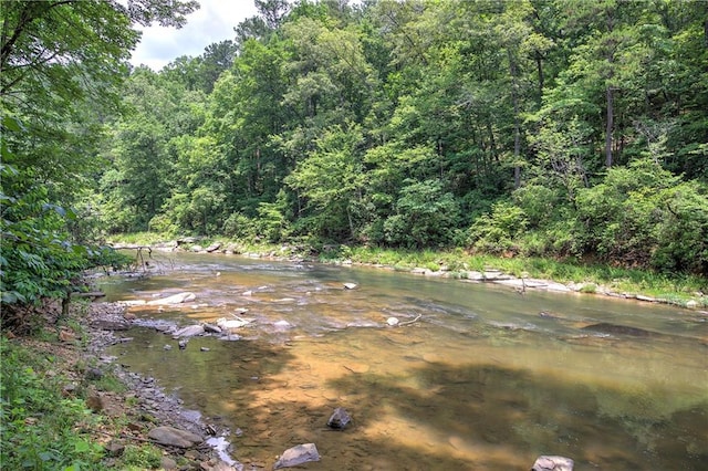 128 Rushing Waters Ct, Talking Rock, GA 30175 - water view featuring a forest