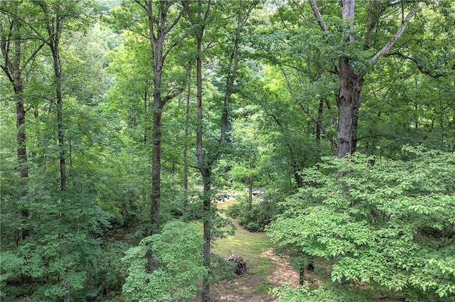 128 Rushing Waters Ct, Talking Rock, GA 30175 - view of woods