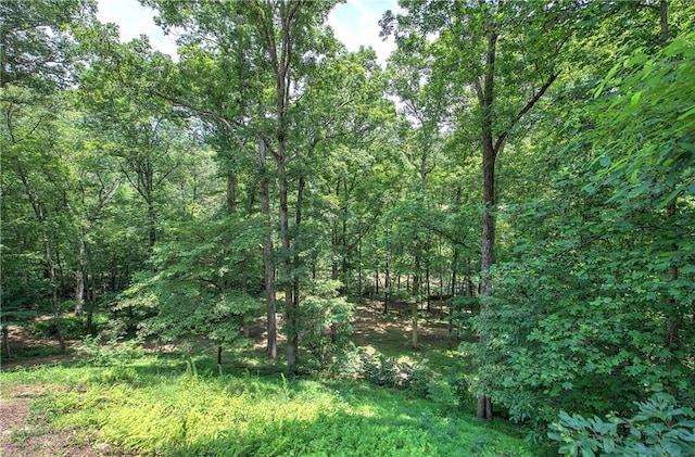 128 Rushing Waters Ct, Talking Rock, GA 30175 - view of woods