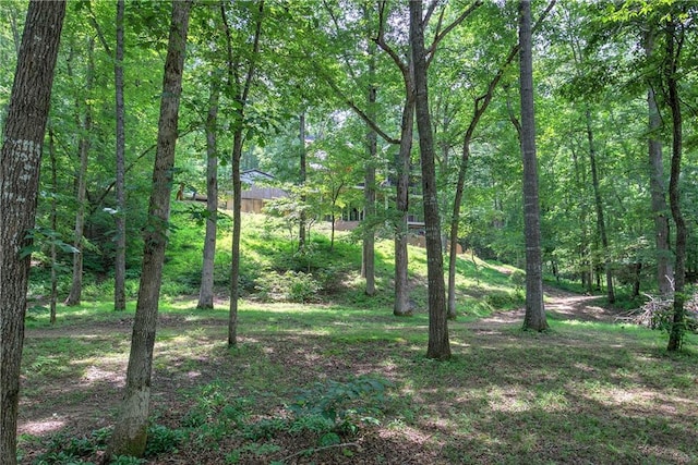 128 Rushing Waters Ct, Talking Rock, GA 30175 - view of tree filled area