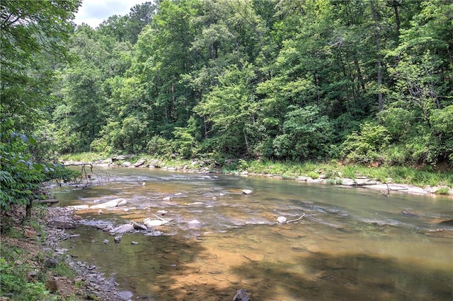 128 Rushing Waters Ct, Talking Rock, GA 30175 - water view with a forest