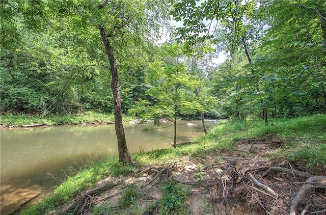 128 Rushing Waters Ct, Talking Rock, GA 30175 - view of yard with a view of trees