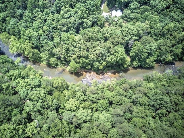 128 Rushing Waters Ct, Talking Rock, GA 30175 - aerial overview of property's location with a forest