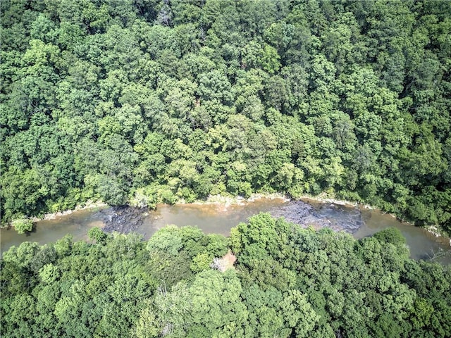 128 Rushing Waters Ct, Talking Rock, GA 30175 - aerial view of property and surrounding area featuring a forest