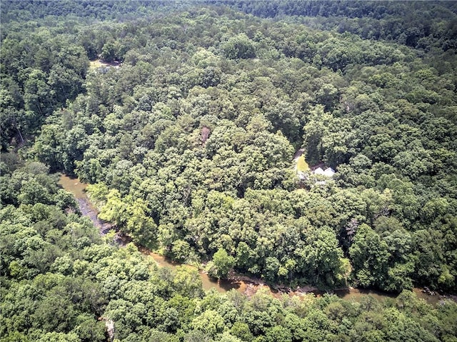 128 Rushing Waters Ct, Talking Rock, GA 30175 - bird's eye view of a forest