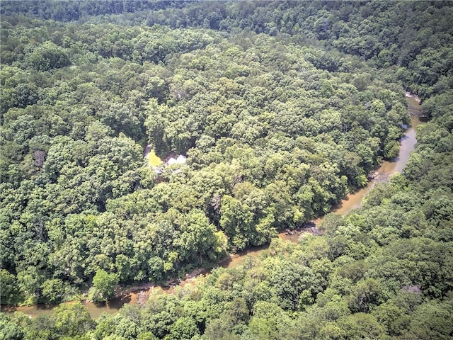 128 Rushing Waters Ct, Talking Rock, GA 30175 - aerial view of property and surrounding area featuring a forest