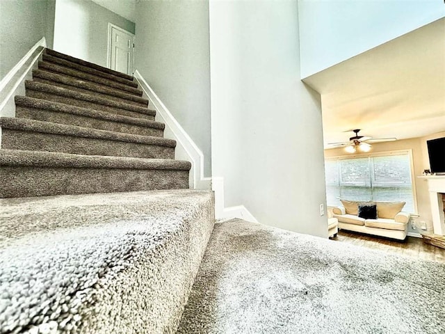 stairs featuring ceiling fan