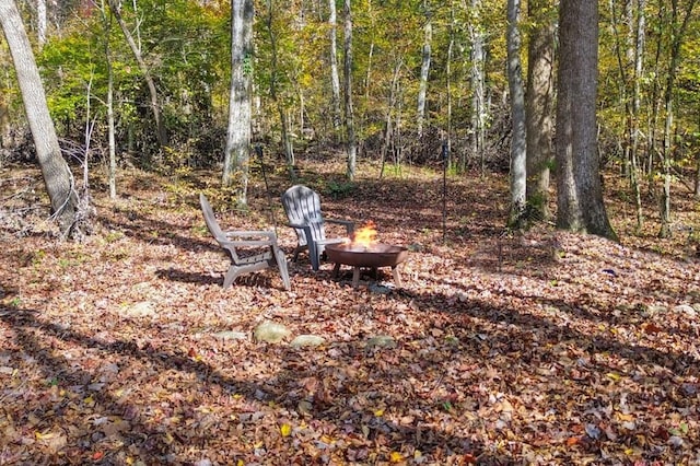 view of yard featuring a fire pit