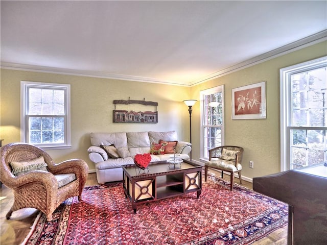 living room featuring crown molding