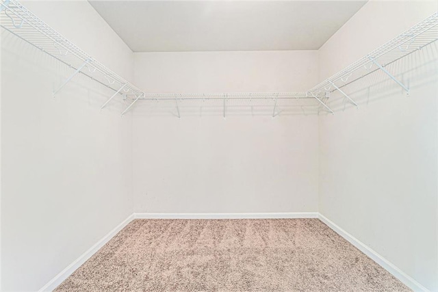 spacious closet with carpet