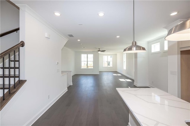 interior space featuring ceiling fan, dark hardwood / wood-style flooring, and crown molding