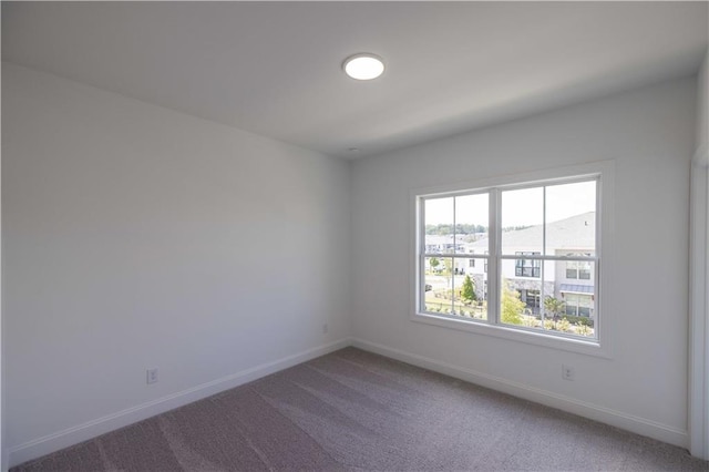 empty room featuring carpet floors