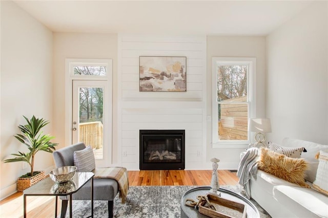 1240 Oakland Ter SW Unit B, Atlanta, GA 30310 - living area featuring a large fireplace, wood finished floors, and a wealth of natural light