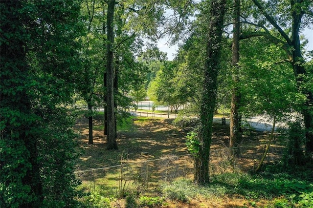 1240 Oakland Ter SW Unit B, Atlanta, GA 30310 - view of local wilderness