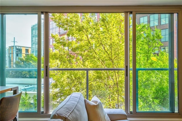 entryway with plenty of natural light