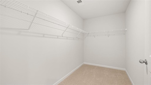 spacious closet featuring carpet