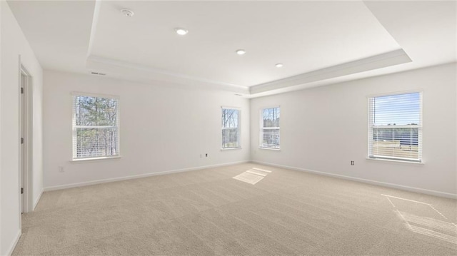 1141 Kingston Ave, Buckhead, GA 30625 - spare room with a tray ceiling, light carpet, plenty of natural light, and recessed lighting