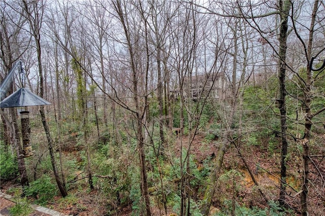 view of nature featuring a forest view