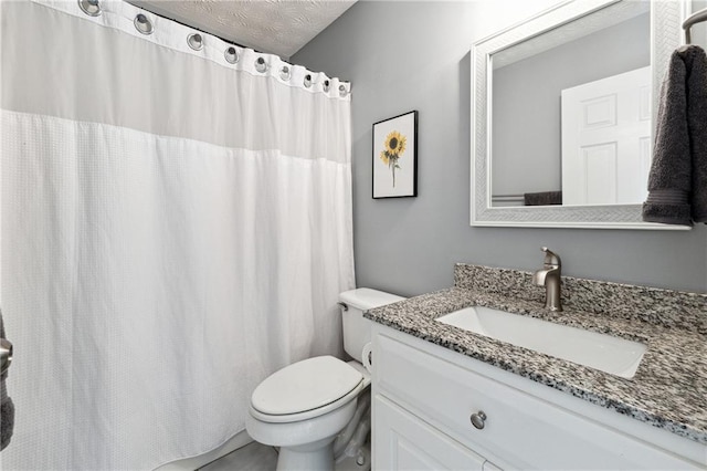 8450 Jot Em Down Rd, Gainesville, GA 30506 - full bath with toilet, vanity, a textured ceiling, and a shower with shower curtain