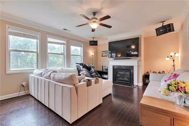 4708 Tiger Blvd, Duluth, GA 30096 - living room featuring ceiling fan, crown molding, dark wood-style flooring, plenty of natural light, and a glass covered fireplace