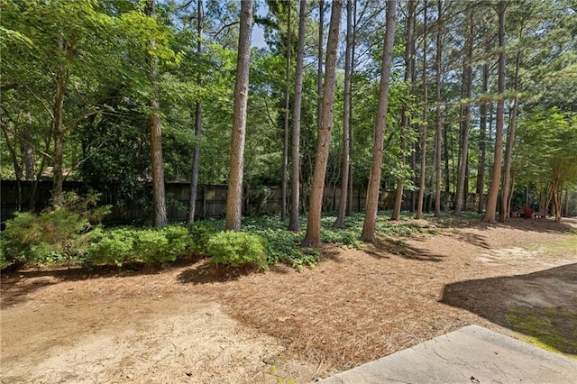 3150 Stonewyck Pl, Decatur, GA 30033 - view of undeveloped land