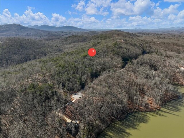 250 S Laceola Dr, Cleveland GA, 30528 land for sale