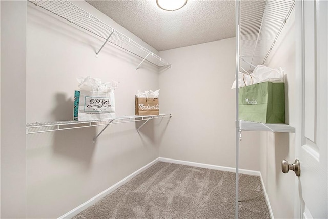 3710 Ridgefair Dr, Cumming, GA 30040 - walk in closet with carpet flooring