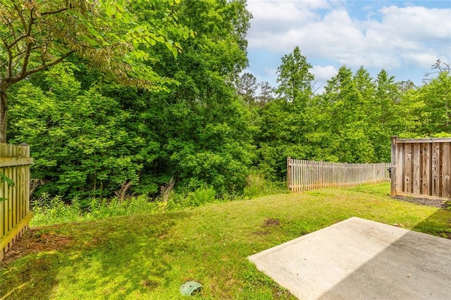 3875 Valley View Ct, Gainesville, GA 30501 - view of yard with a patio