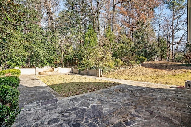 view of yard with a patio