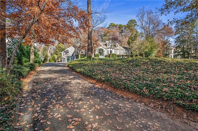 view of road featuring aphalt driveway