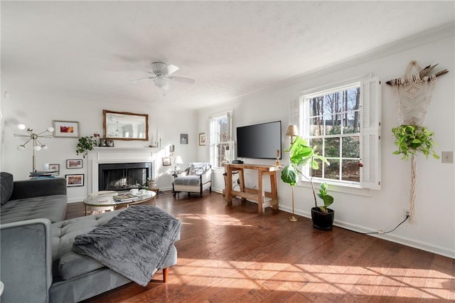 living room with crown molding, dark hardwood / wood-style floors, and ceiling fan