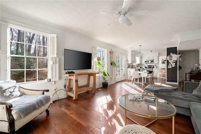 living room with ceiling fan and dark hardwood / wood-style flooring