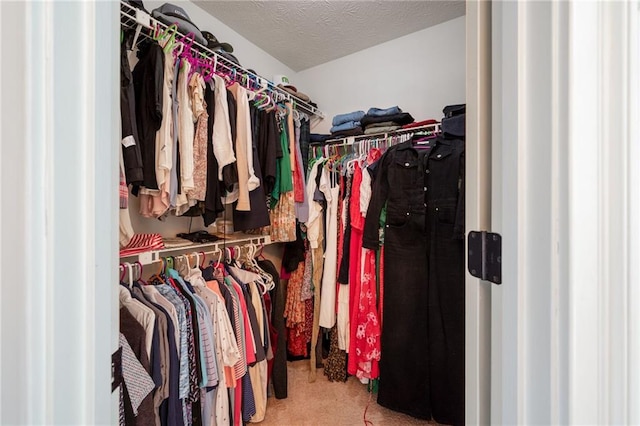 spacious closet with carpet flooring