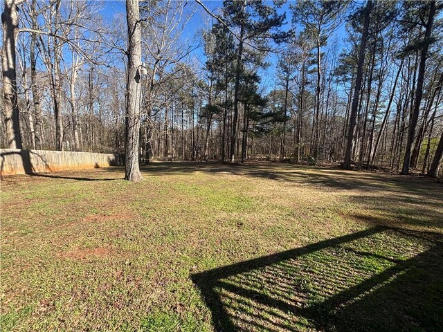 440 Ward Rd, Ellenwood, GA 30294 - view of yard