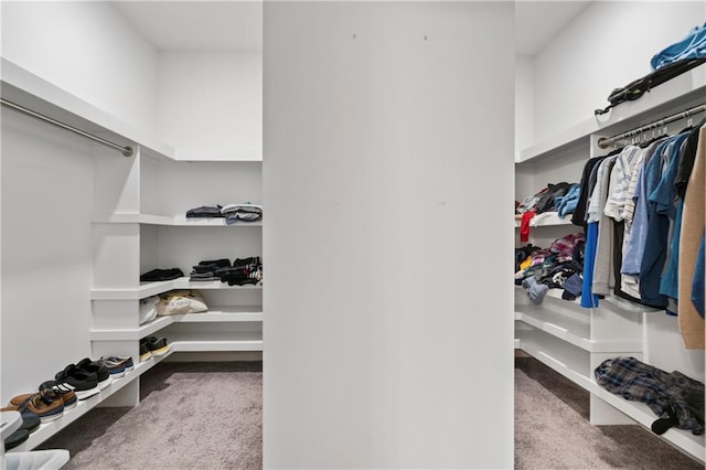 spacious closet featuring carpet flooring