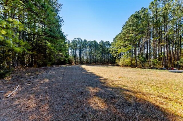 view of yard with a forest view