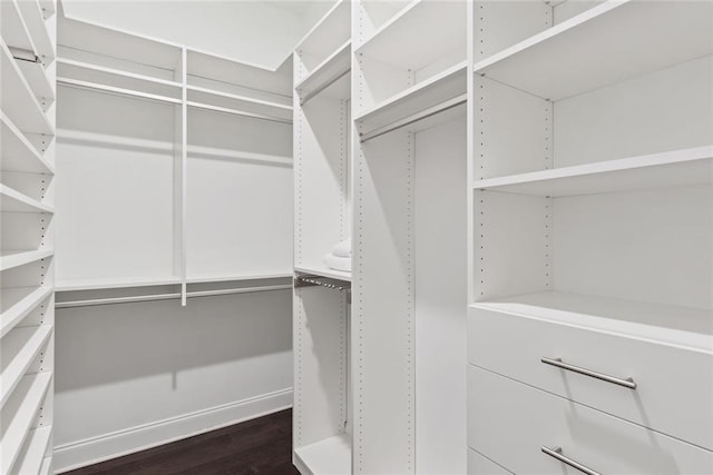 walk in closet featuring dark wood finished floors