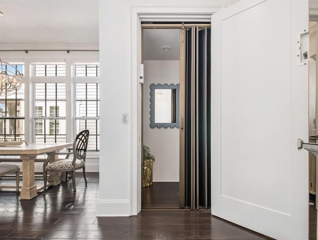 dining room with dark wood finished floors, a notable chandelier, and baseboards